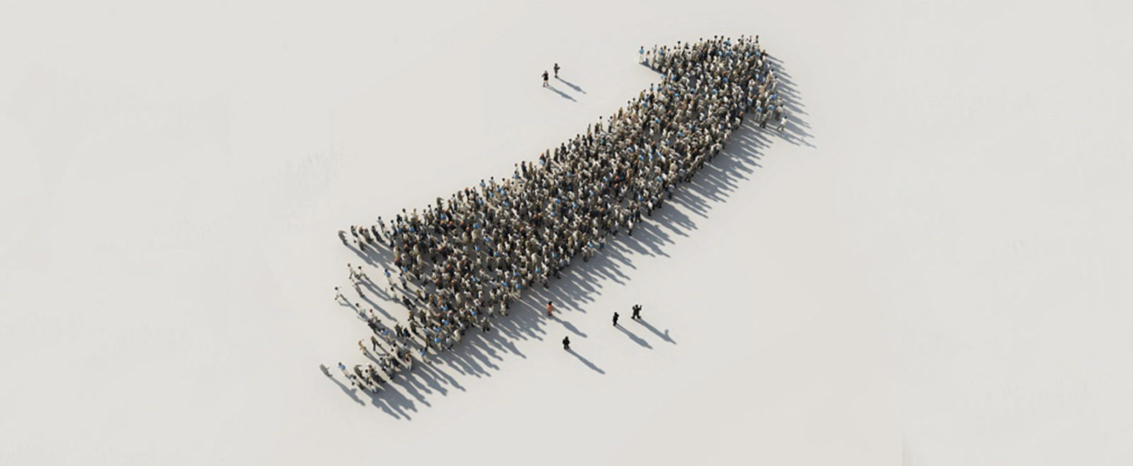 organisatie en verandermanagement TSM