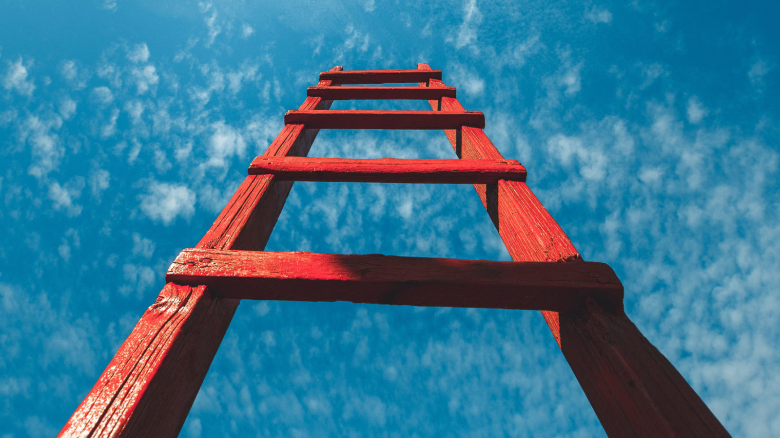 Oneindige groei met coaching van TSM Business School